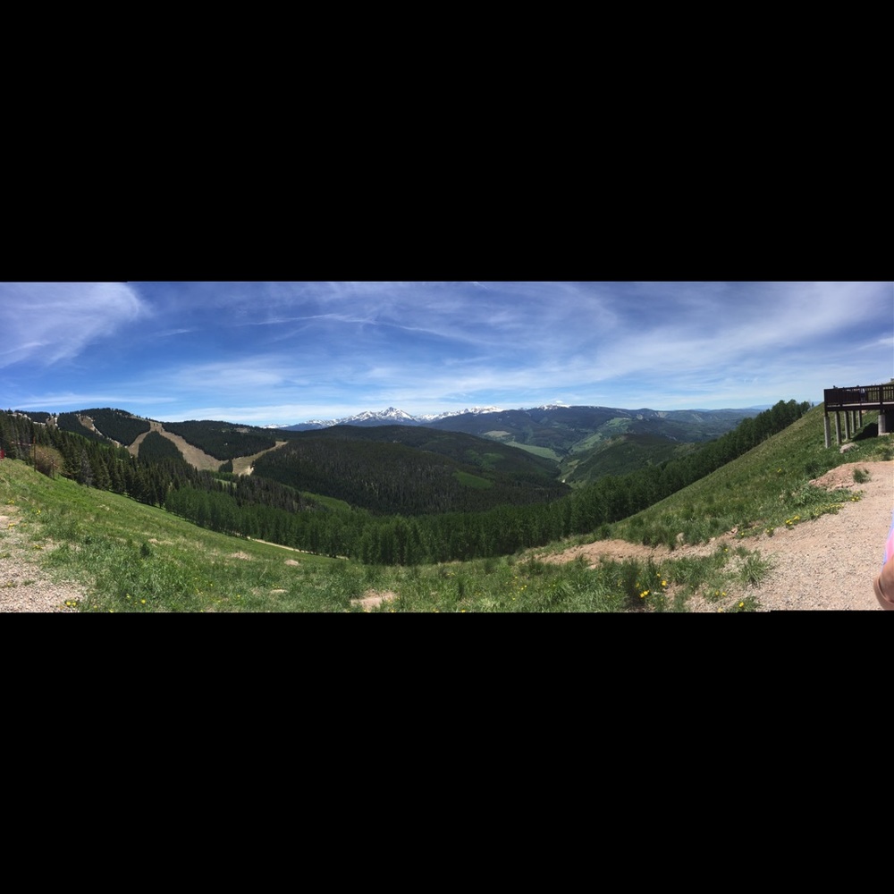 Meet your Posher, Layton